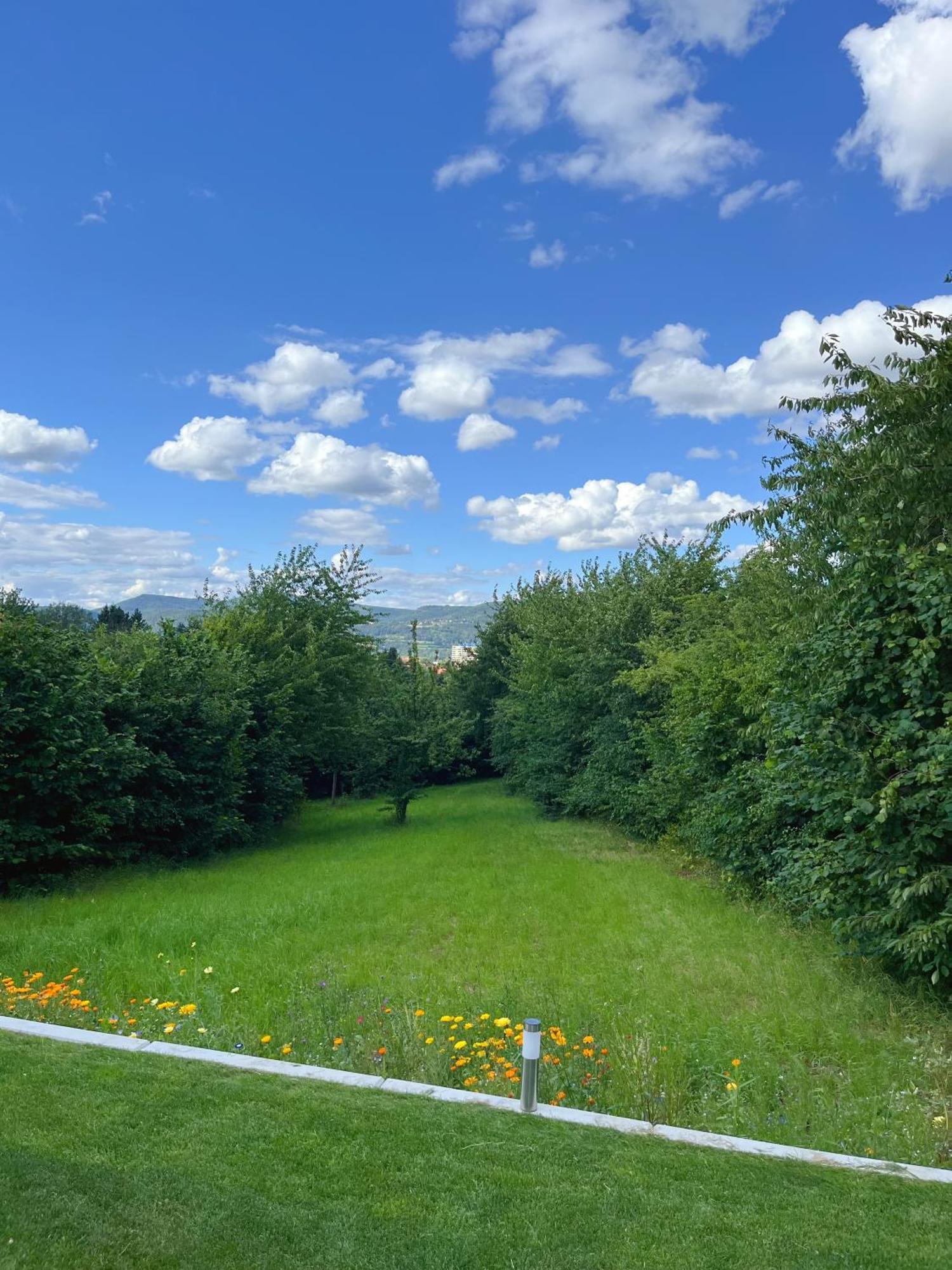 Neu Sanierte Wohnung Fuer 2-4 P Эшвеге Экстерьер фото